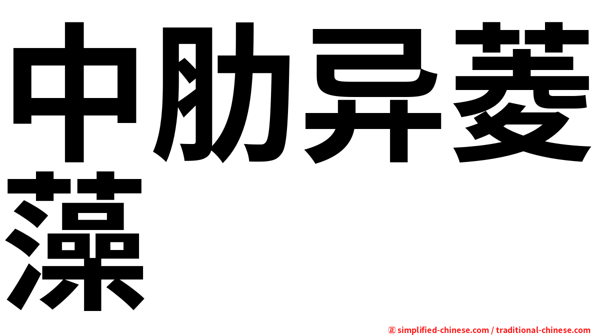 中肋异菱藻
