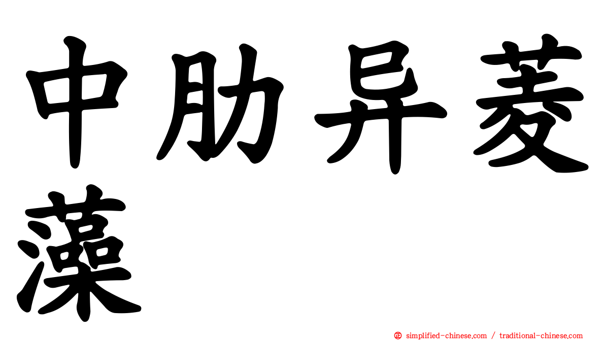 中肋异菱藻