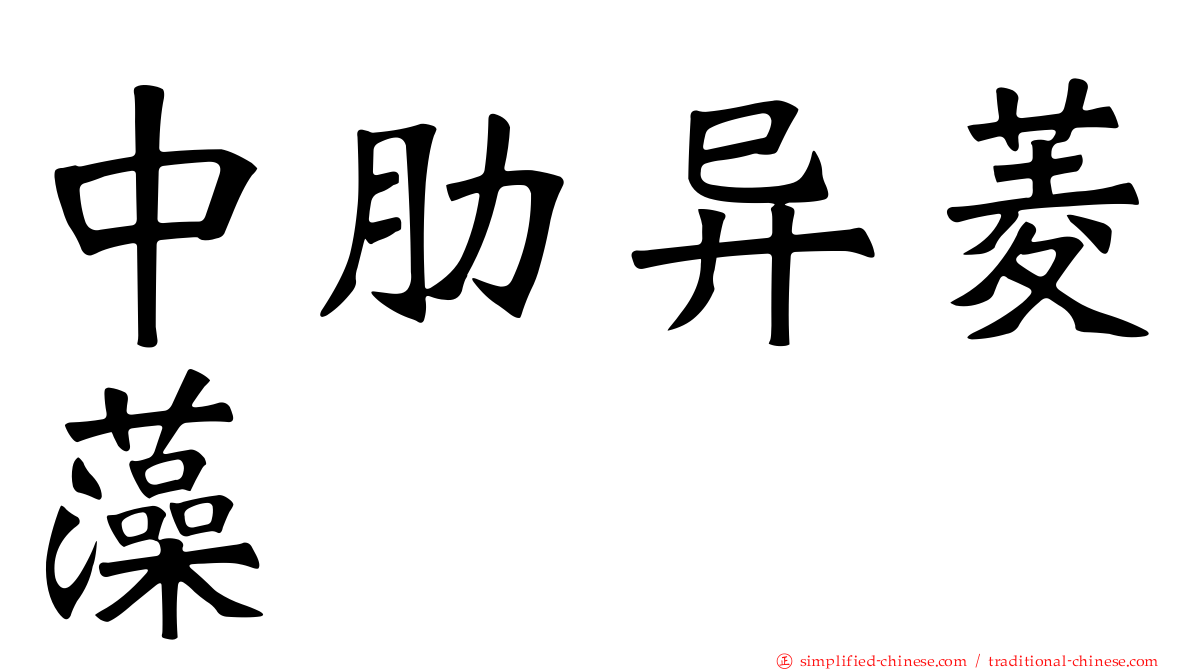 中肋异菱藻