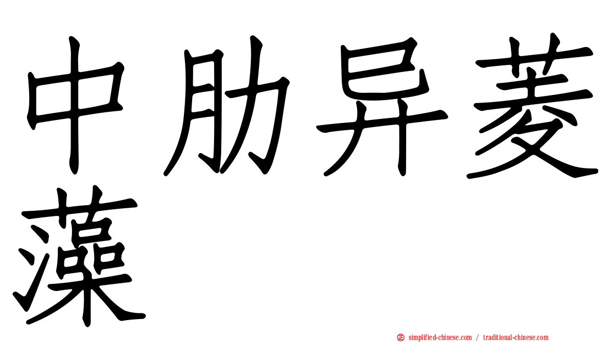 中肋异菱藻
