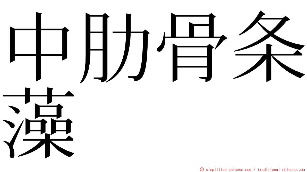 中肋骨条藻 ming font