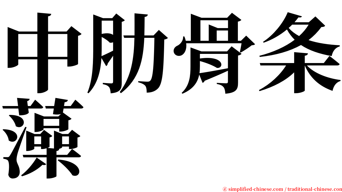 中肋骨条藻 serif font