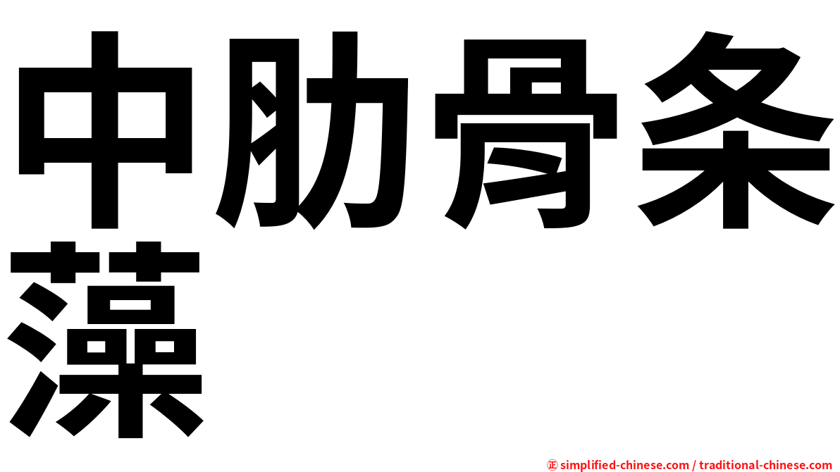 中肋骨条藻