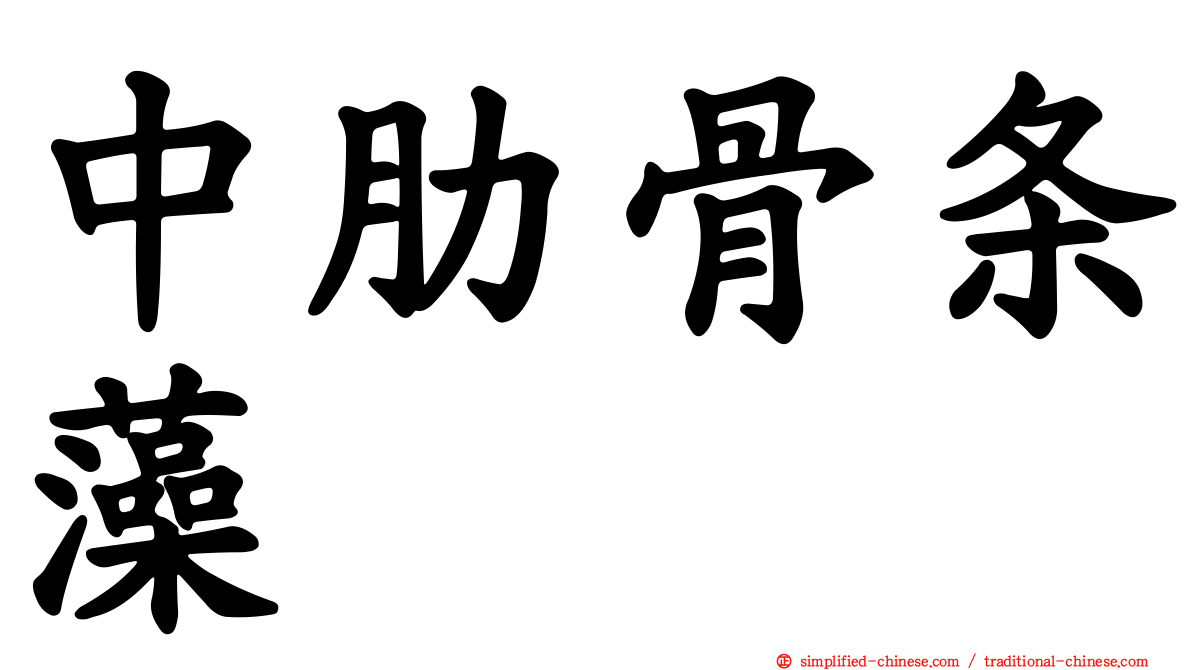 中肋骨条藻
