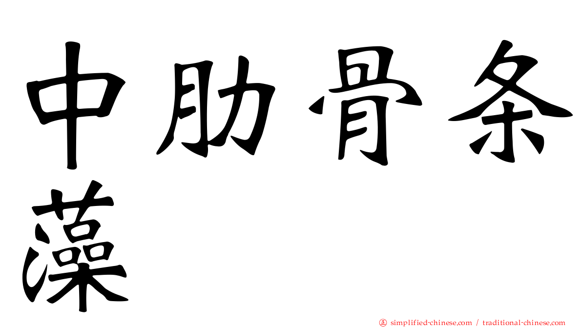 中肋骨条藻