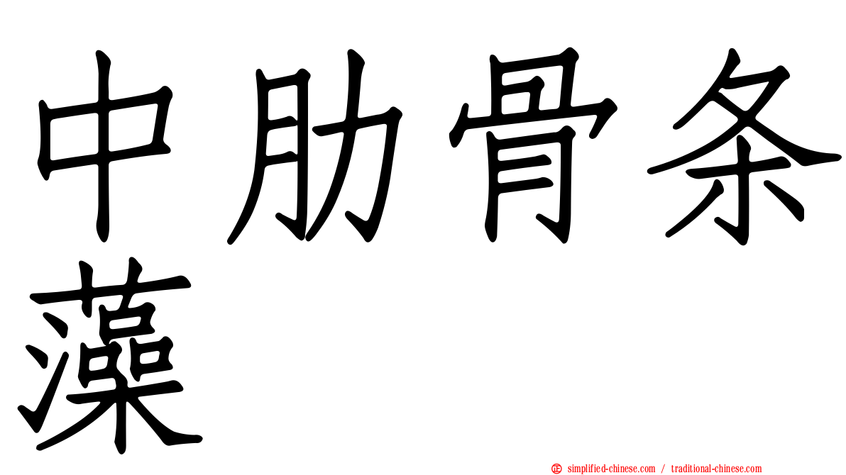 中肋骨条藻