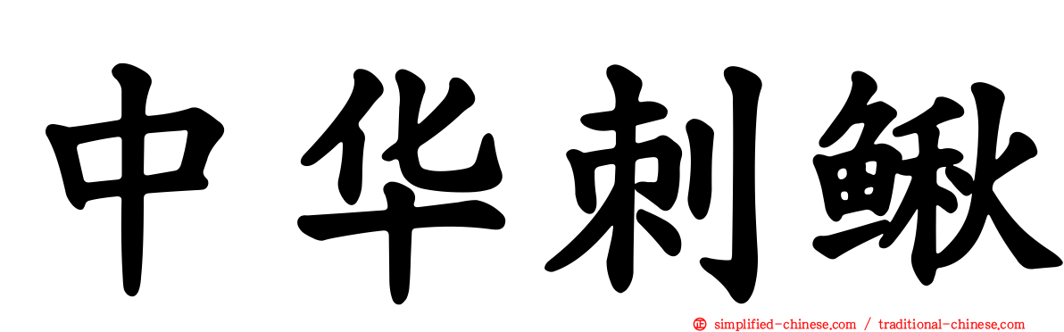 中华刺鳅