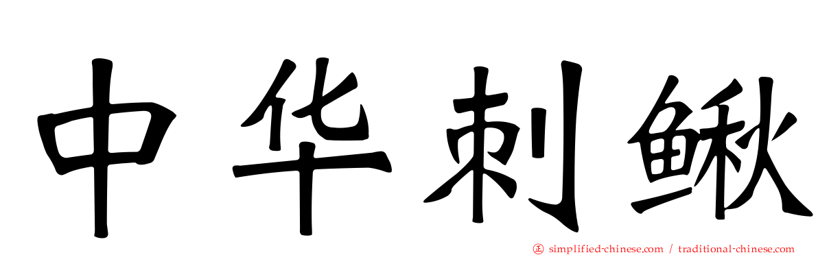 中华刺鳅