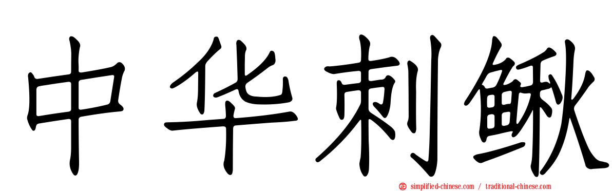 中华刺鳅