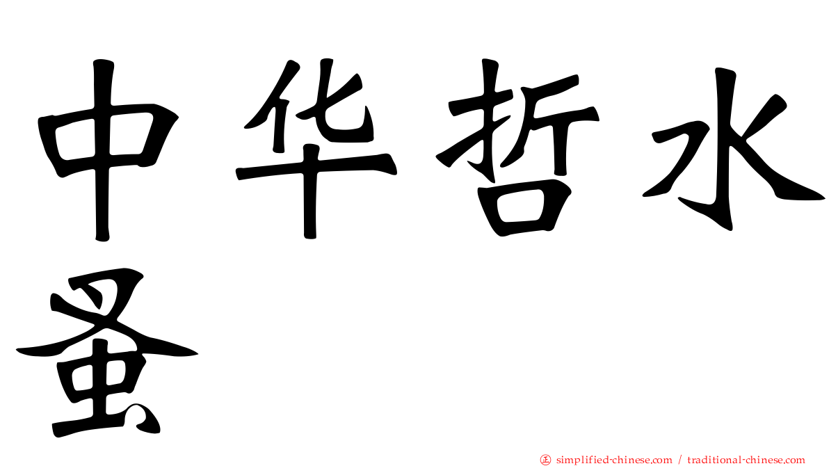 中华哲水蚤