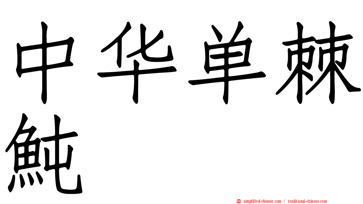 中华单棘鲀