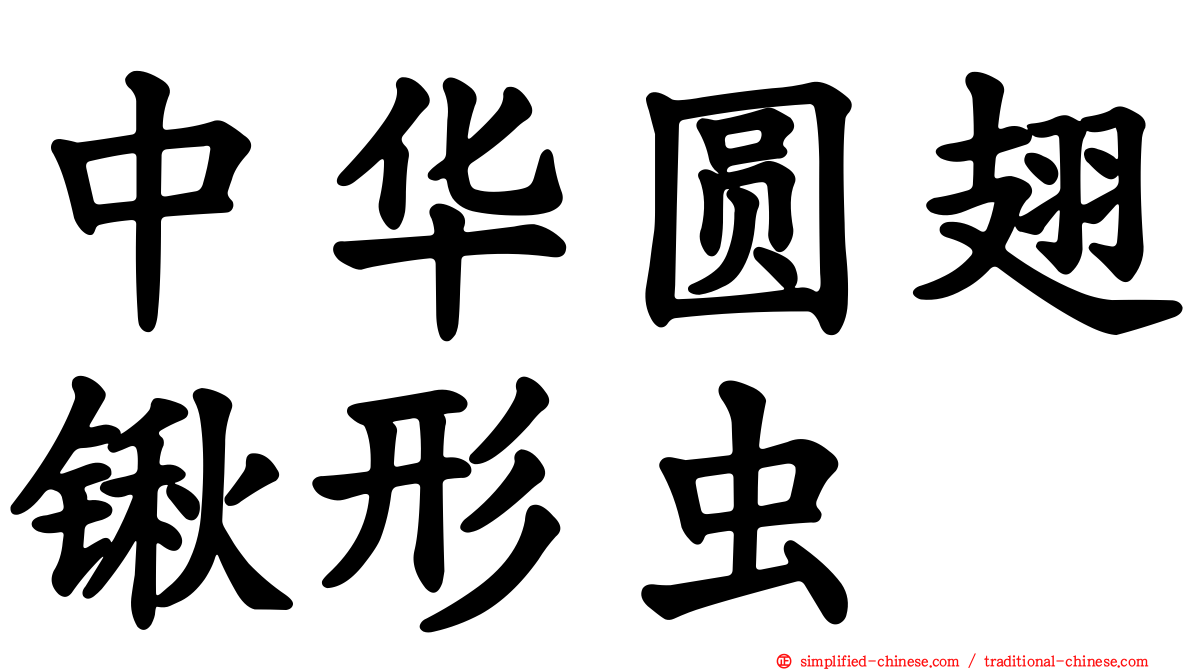 中华圆翅锹形虫