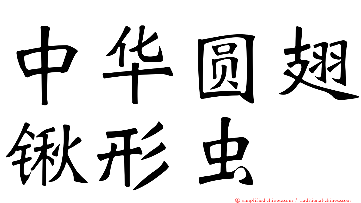 中华圆翅锹形虫