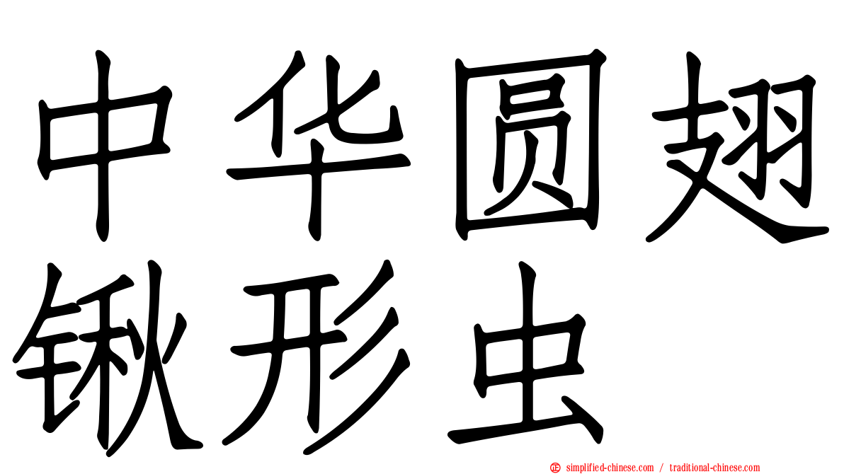 中华圆翅锹形虫