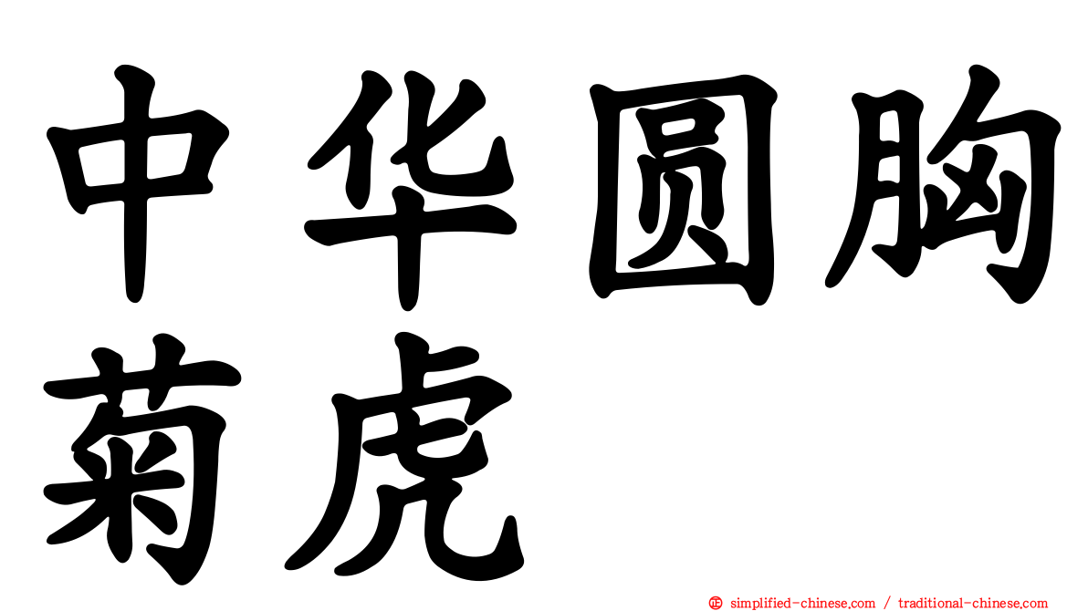 中华圆胸菊虎