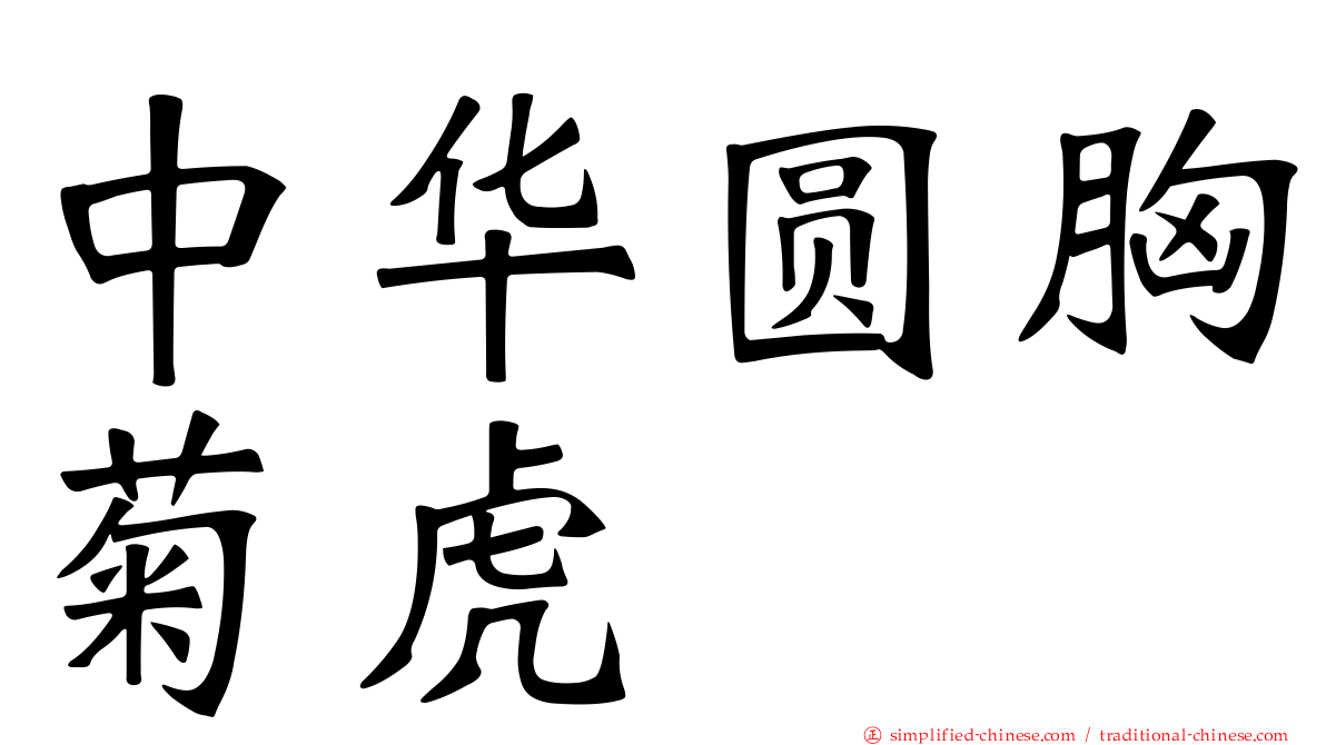 中华圆胸菊虎