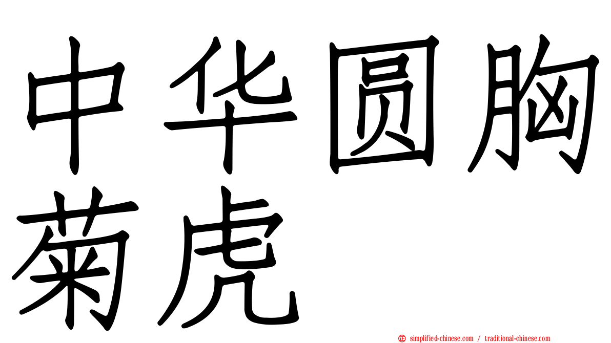 中华圆胸菊虎