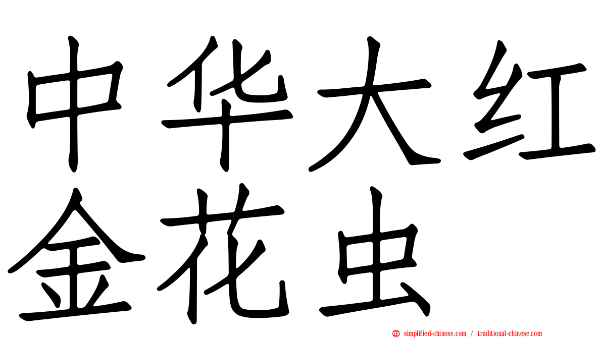 中华大红金花虫