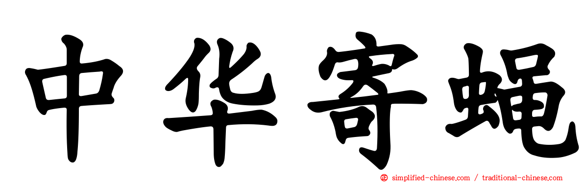 中华寄蝇
