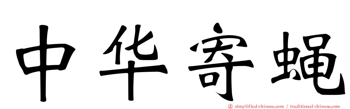 中华寄蝇