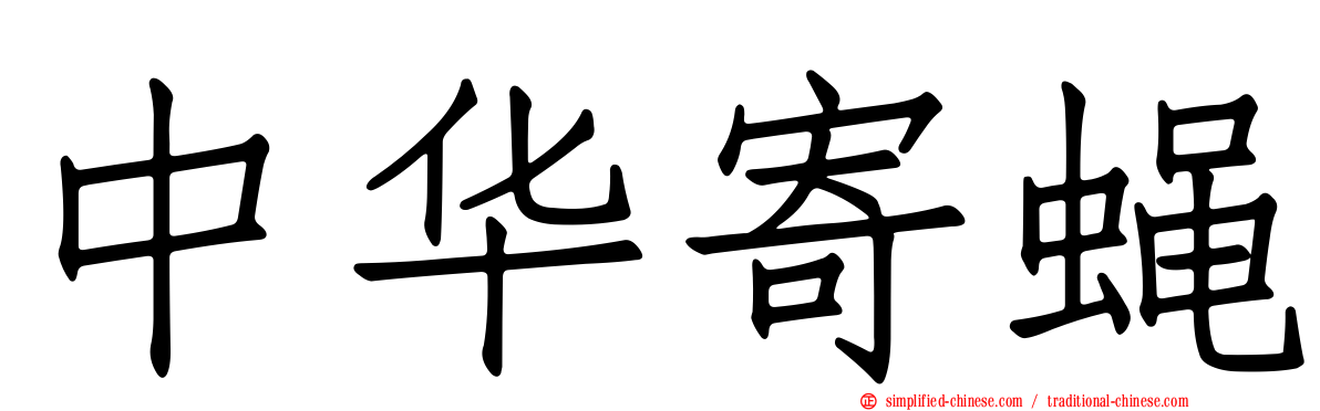 中华寄蝇