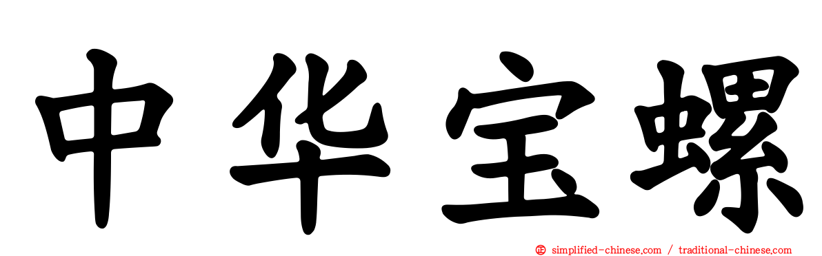 中华宝螺