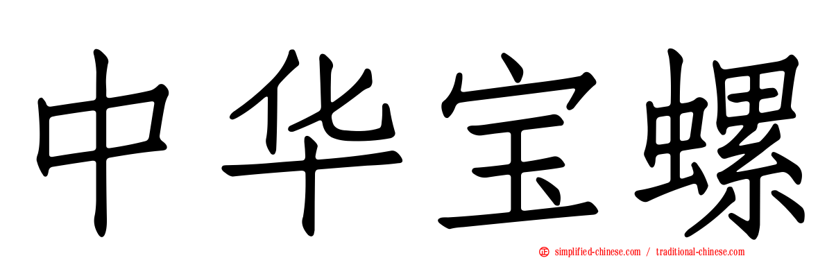 中华宝螺