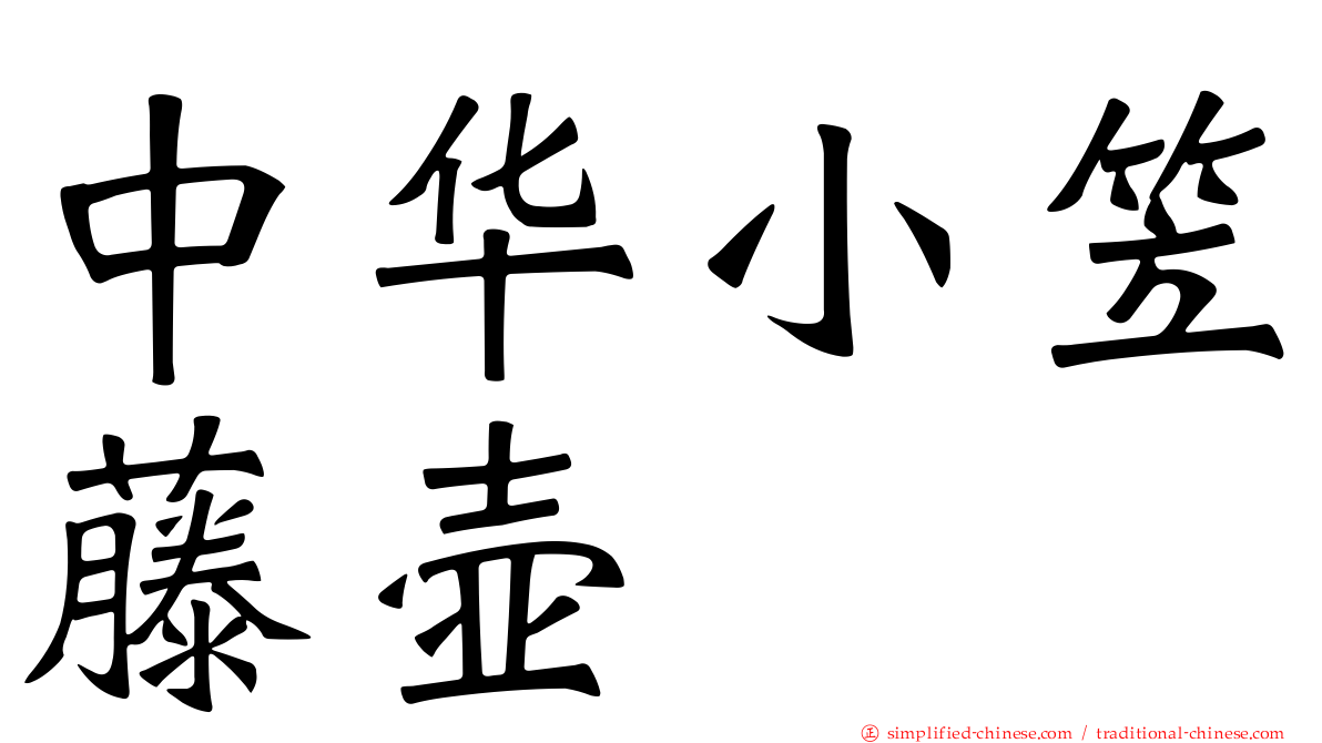 中华小笠藤壶