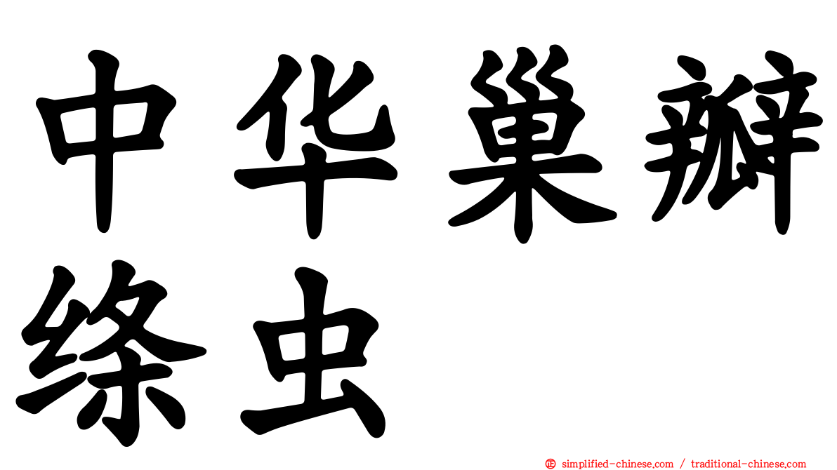 中华巢瓣绦虫