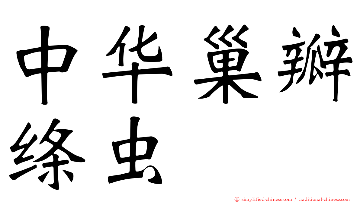 中华巢瓣绦虫