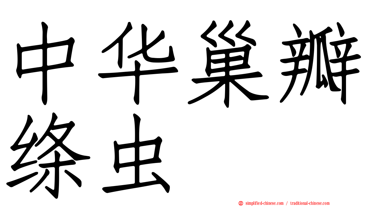 中华巢瓣绦虫