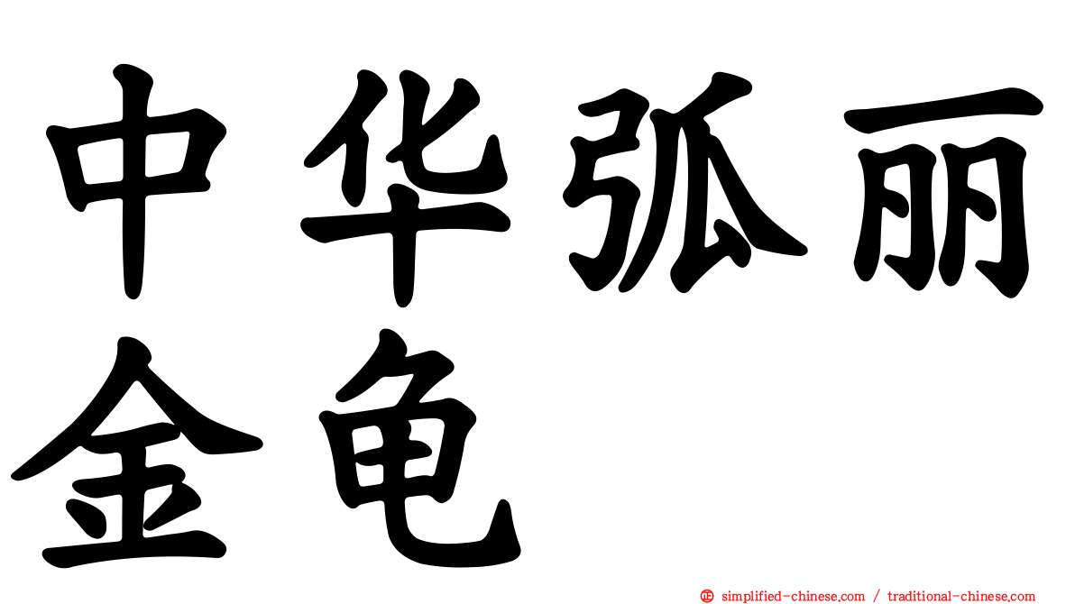 中华弧丽金龟