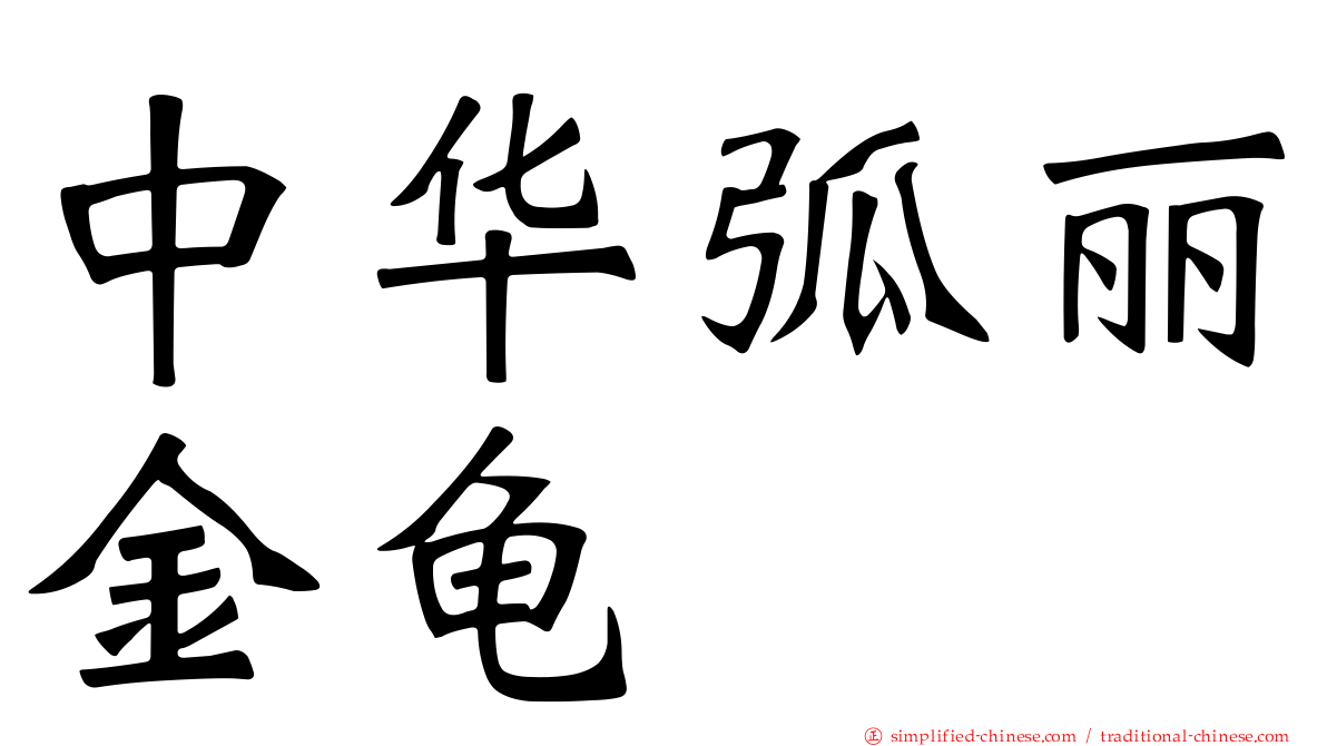 中华弧丽金龟
