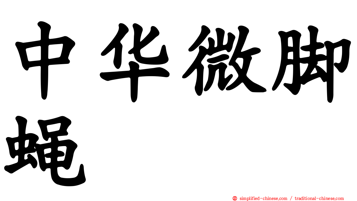 中华微脚蝇