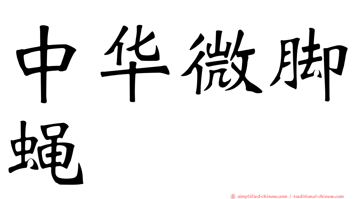中华微脚蝇
