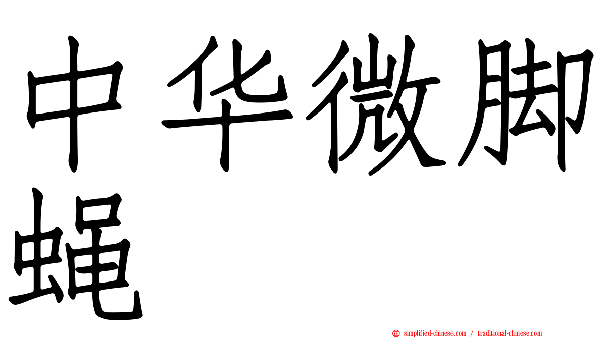 中华微脚蝇
