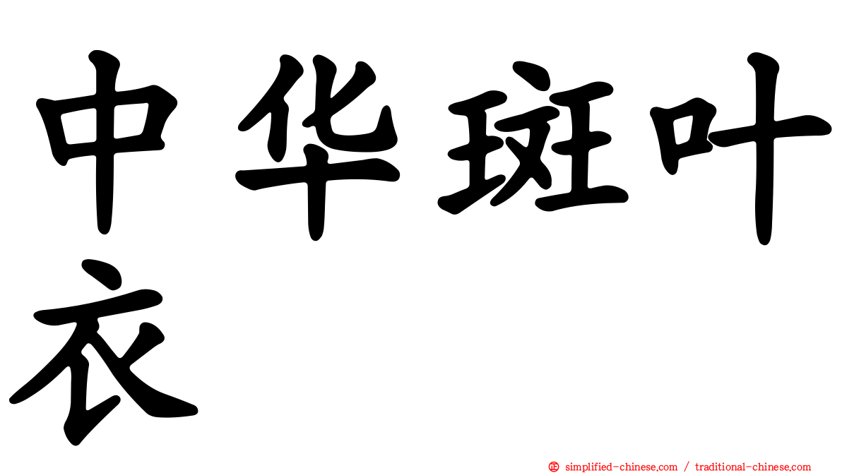 中华斑叶衣