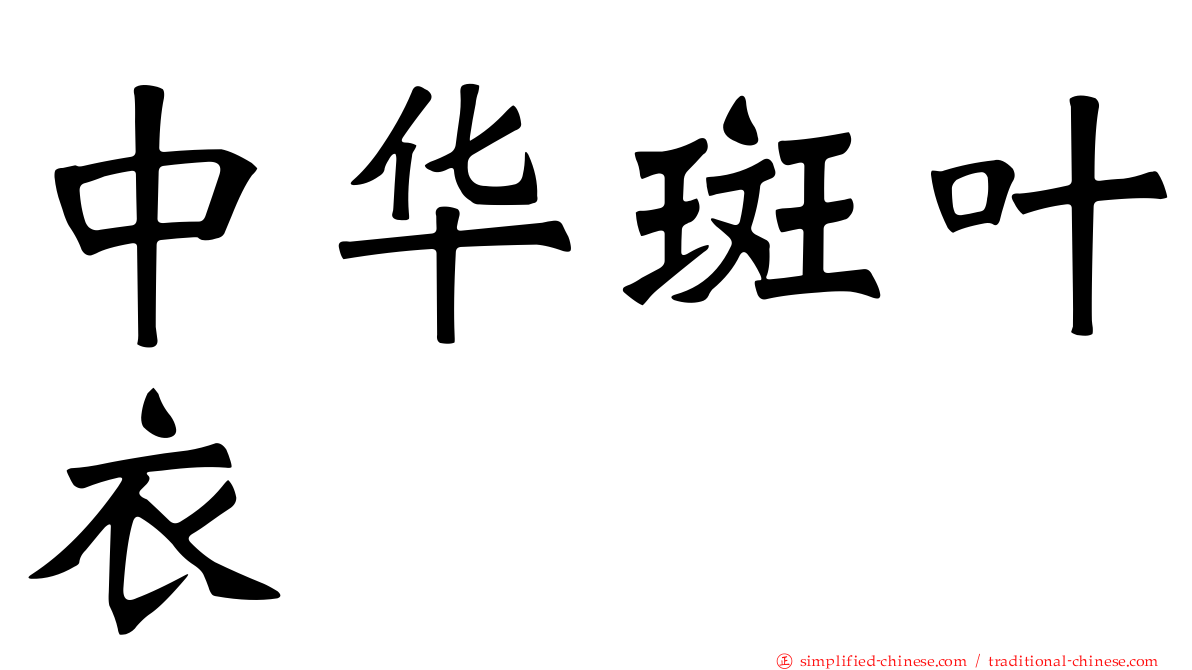 中华斑叶衣