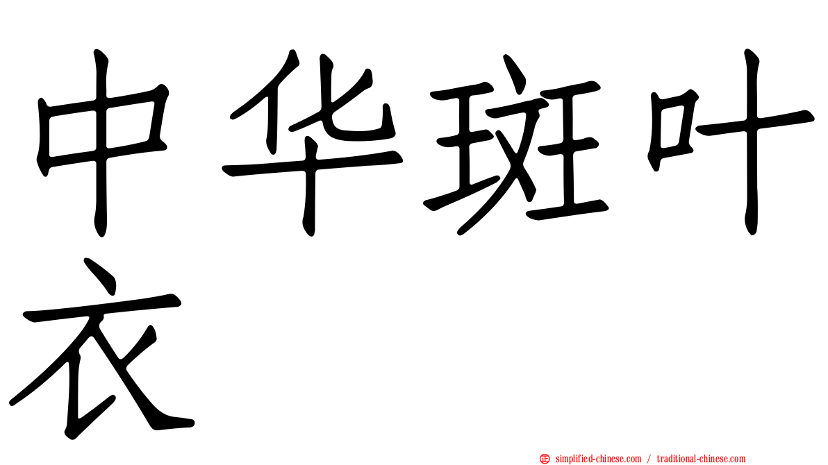 中华斑叶衣