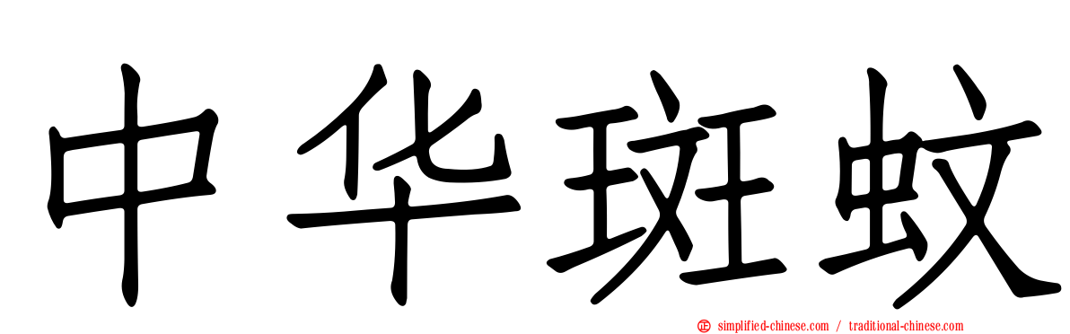 中华斑蚊