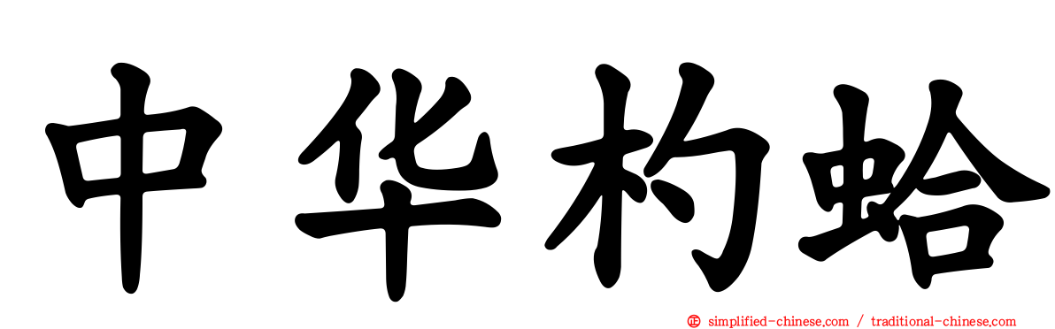 中华杓蛤