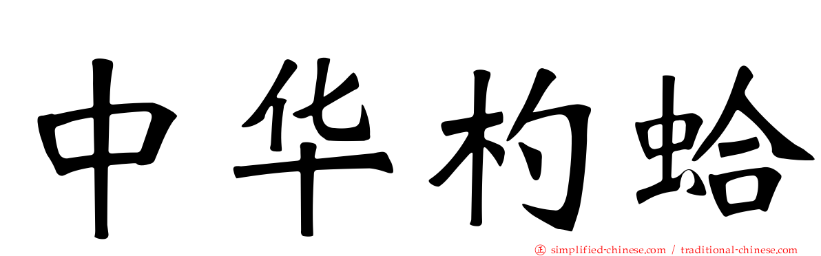 中华杓蛤