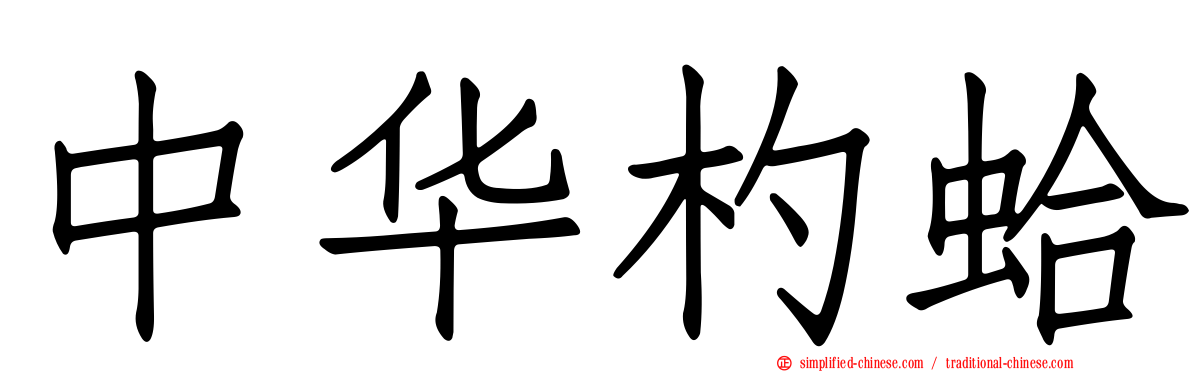 中华杓蛤