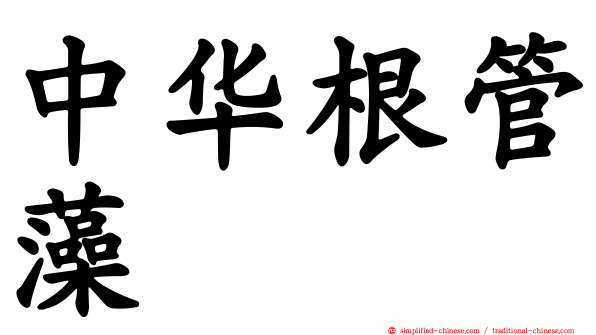 中华根管藻