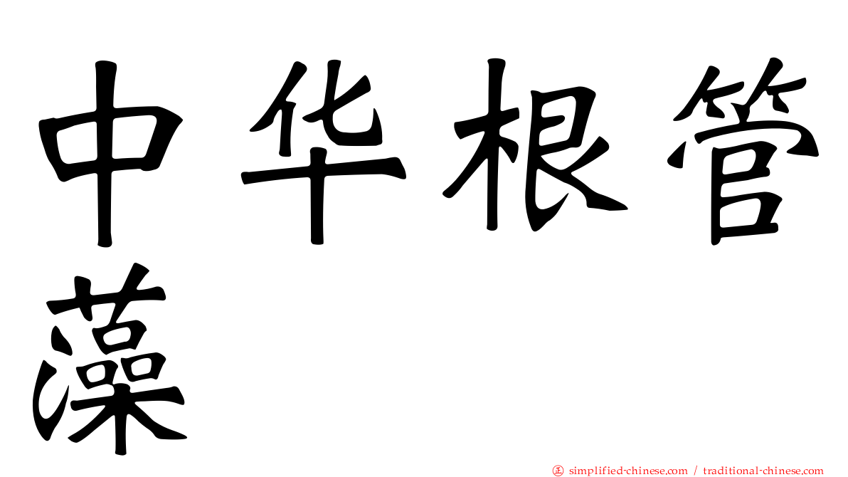 中华根管藻