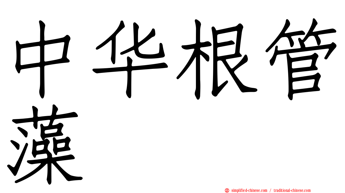 中华根管藻