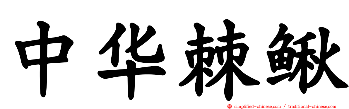 中华棘鳅