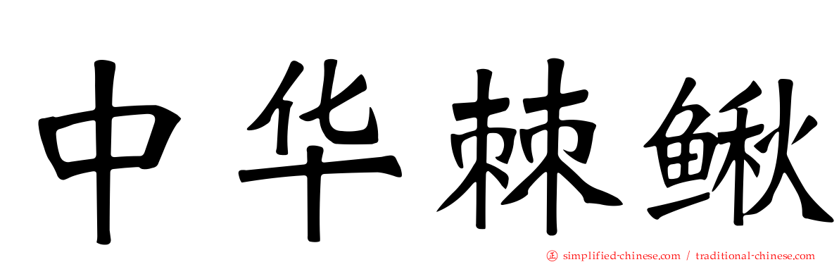 中华棘鳅