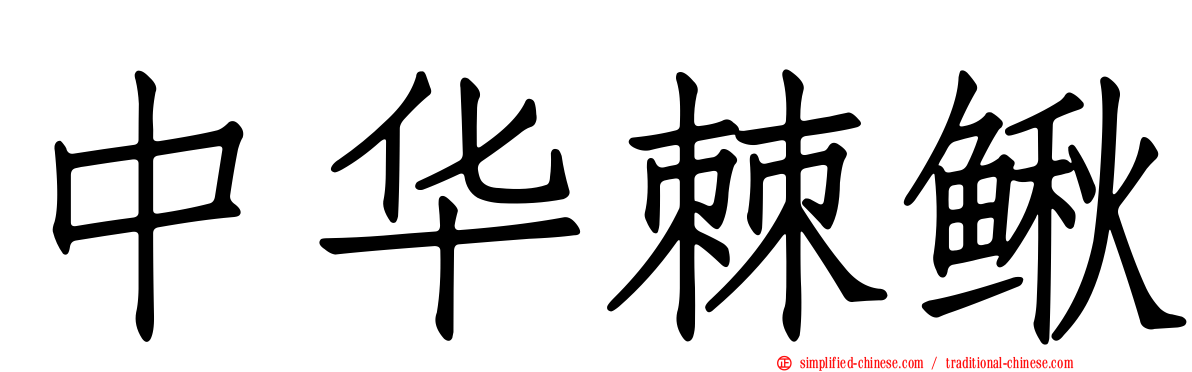 中华棘鳅