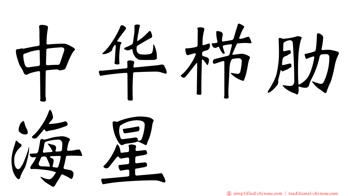 中华栉肋海星